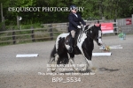 BPP_5534