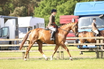 SBM_12495