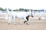SBM_04985