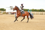 SBM_002280