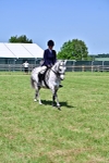 SBM_17437
