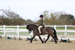 SBM_007444