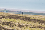 Black Combe-1539