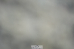 230909-181306-07447