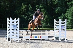 Cls 36 British Novice and 90cm Open portfolio