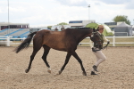 SBM_06885