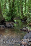 Blackpool Brook – 4