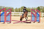 SBM_006811