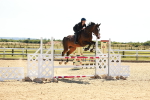 SBM_007013