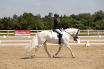 SBM_004241