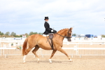 SBM_03397