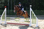 Class 4: Pony British Novice/80cm open portfolio