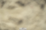 230909-105952-05001