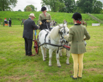 awards -82
