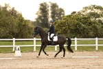 SBM_000362