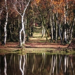 Landscape-051