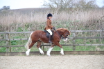SBM_007169
