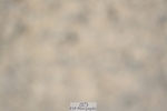 230811-094435-00122