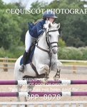 BPP_8078