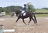 BPP_0461