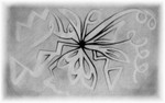 S16