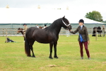 SBM_00440
