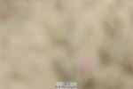 230702A-123401-09314