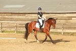 SBM_000537