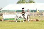 SBM_11037