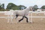 SBM_07963