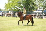SBM_06937