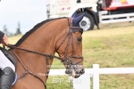 BPP_4182
