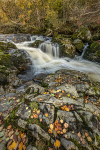 Aira Force IMG_2108