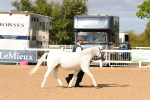 SBM_10982