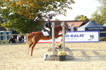 SBM_53677