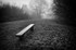 Park benches