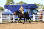 SBM_07878