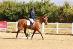 SBM_009360