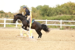 SBM_007599