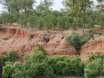 Kruger Park, dry season, Sth Africa