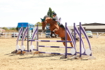 SBM_003011