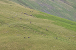 Buttermere h-s-23