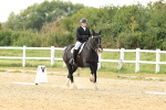 SBM_001202