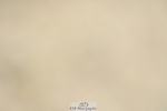 230701A-113808-04996