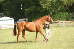 SBM_10456