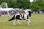 SBM_02625