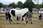 WJ6_8361