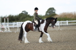 SBM_06964