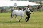 SBM_00562