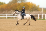 SBM_000584